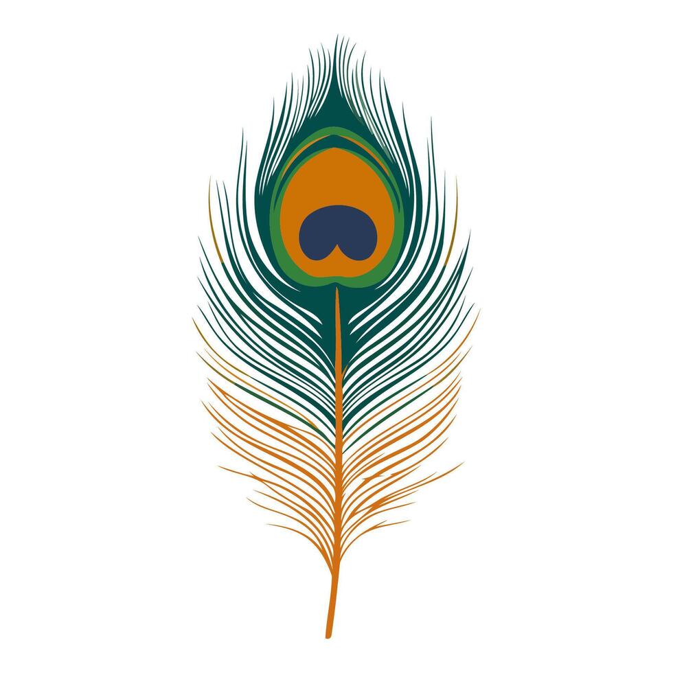 Peacock Feather Striking Colorful Design vector