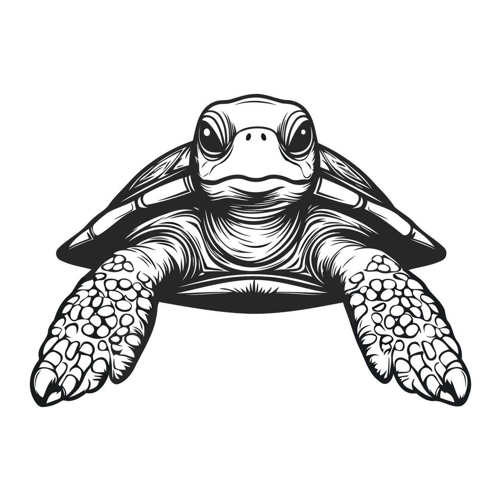 Minimalist Drawing of Sea Turtle vector
