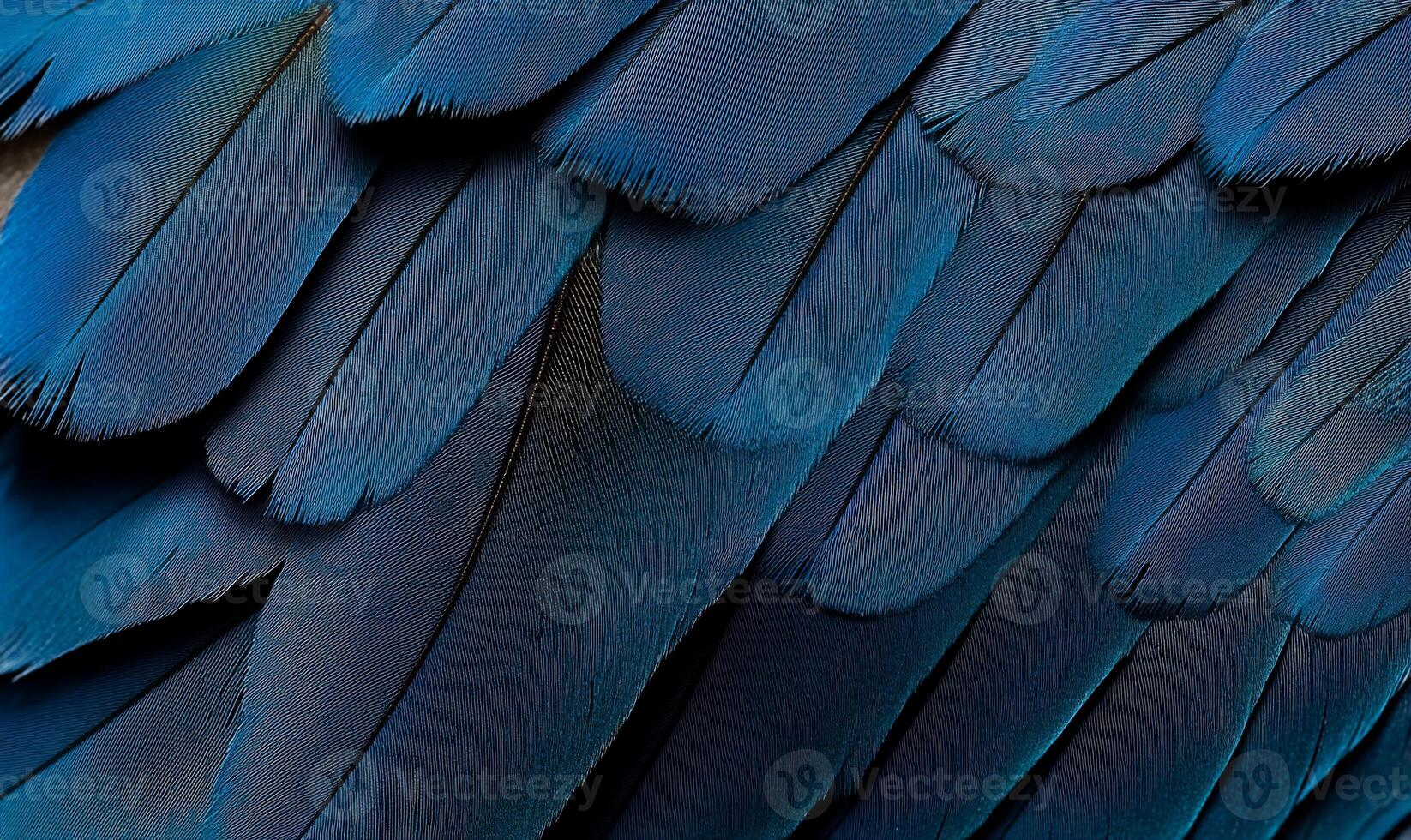 Vibrant deep blue parrot feathers close-up photo