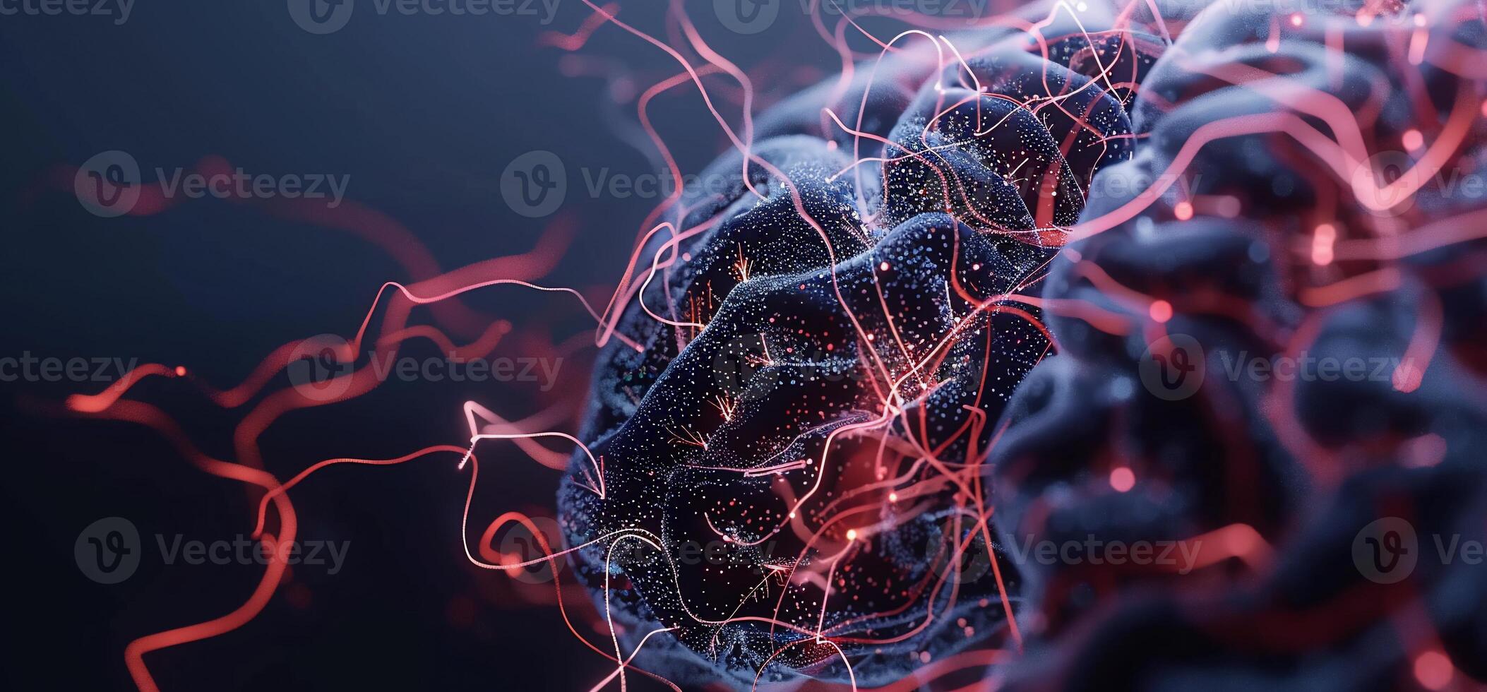 Brain Neural Network photo