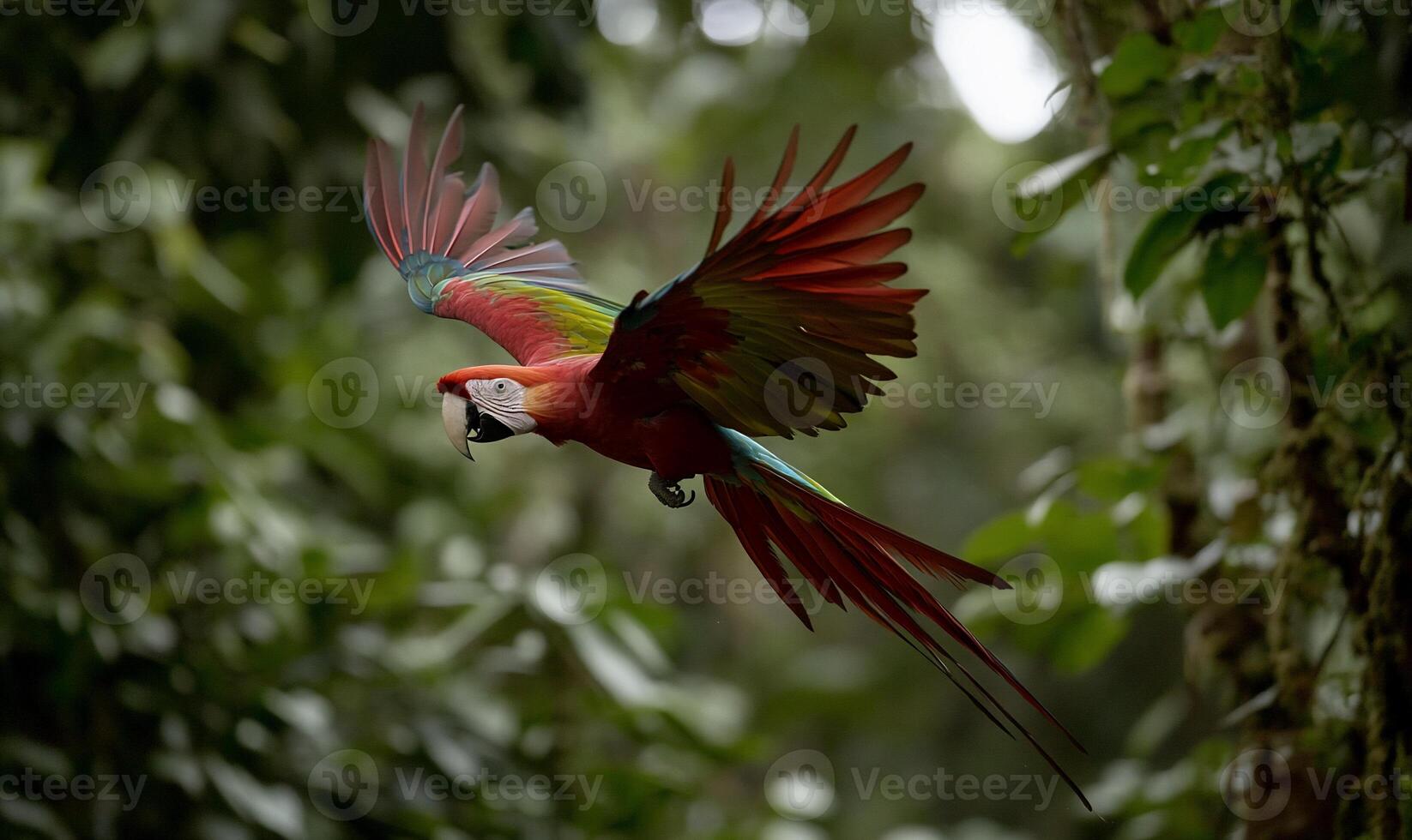 Colorful parrot in flight through lush rainforest photo