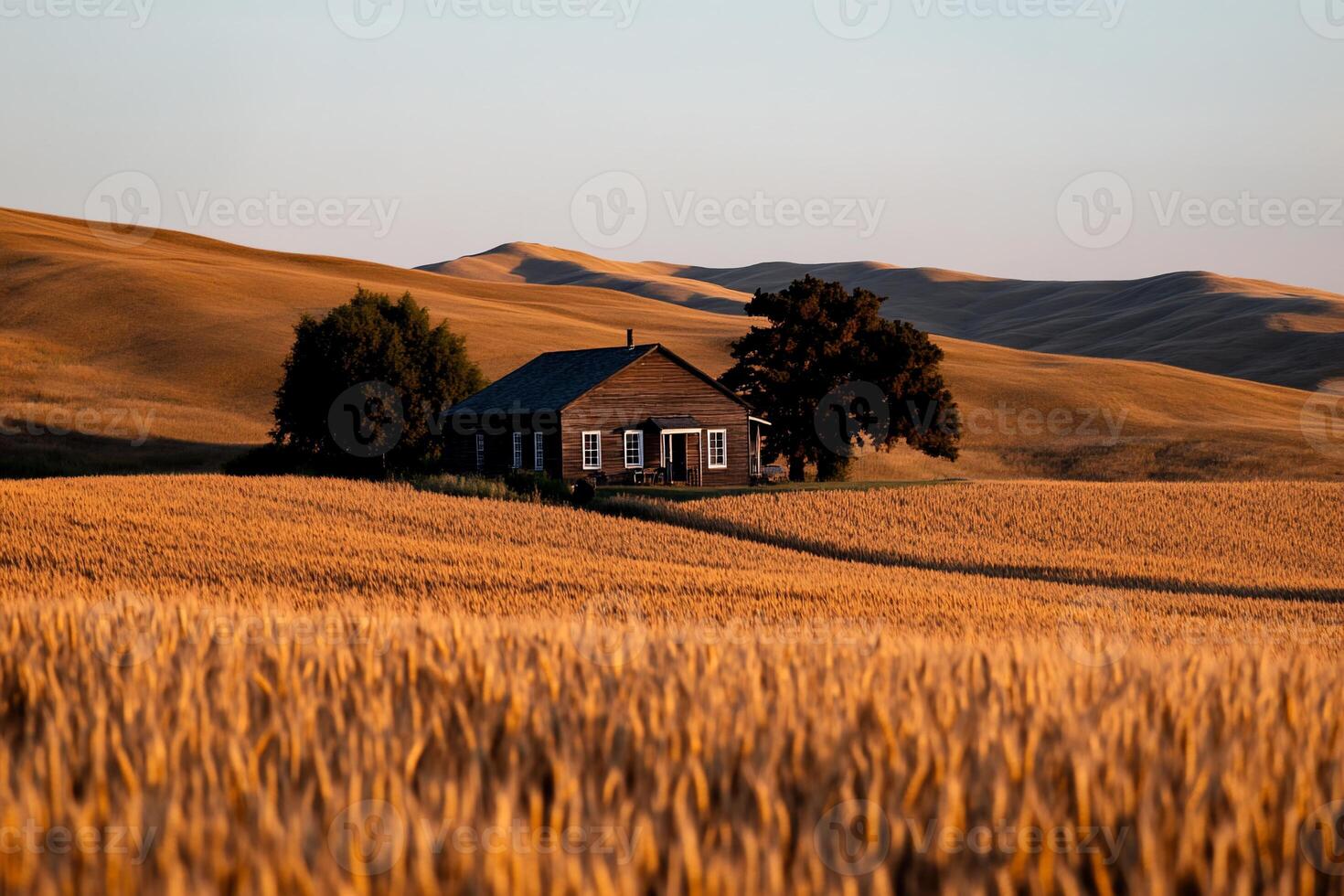 Rustic farmhouse nestled in golden wheat field at sunset photo