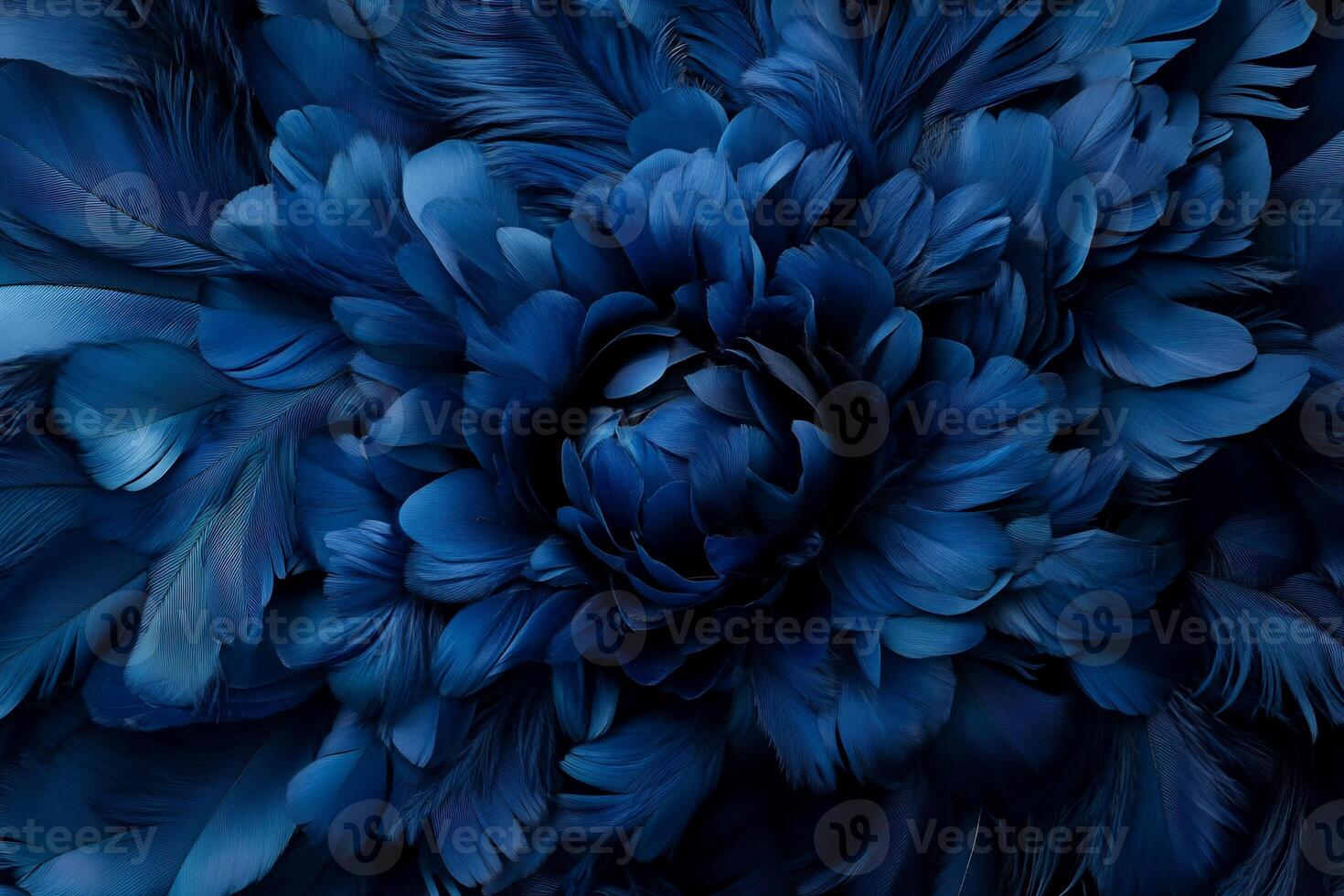 Deep blue feathers forming a flower-like pattern. Detailed close-up view of intricate texture photo