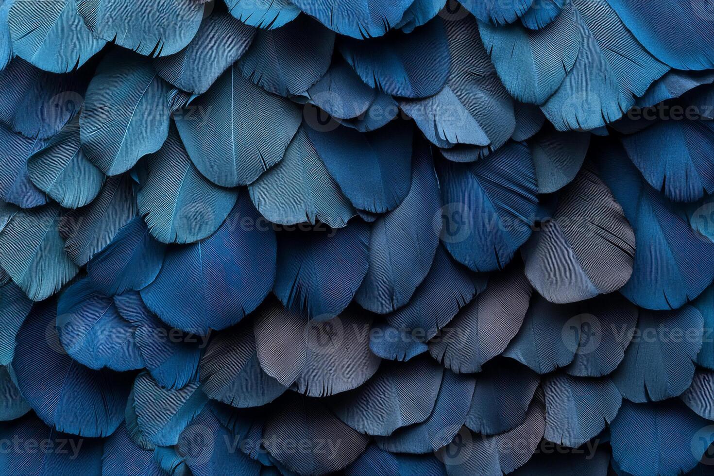 Blue feathers, texture, wallpaper, wallpaper background, wallpaper background, wallpaper background, wallpaper background, photo