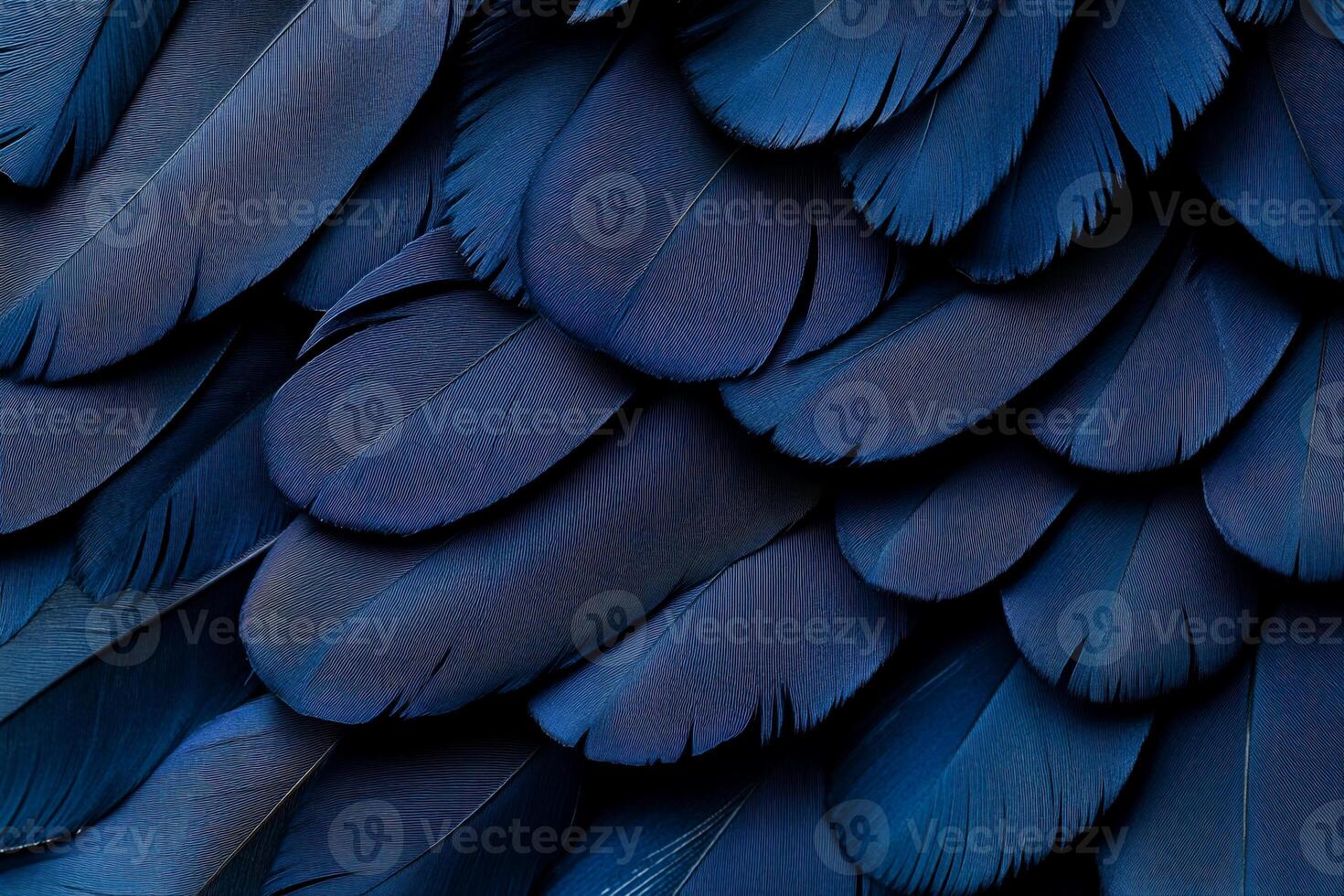 Close-up view of deep blue bird feathers. Intricate texture and pattern photo