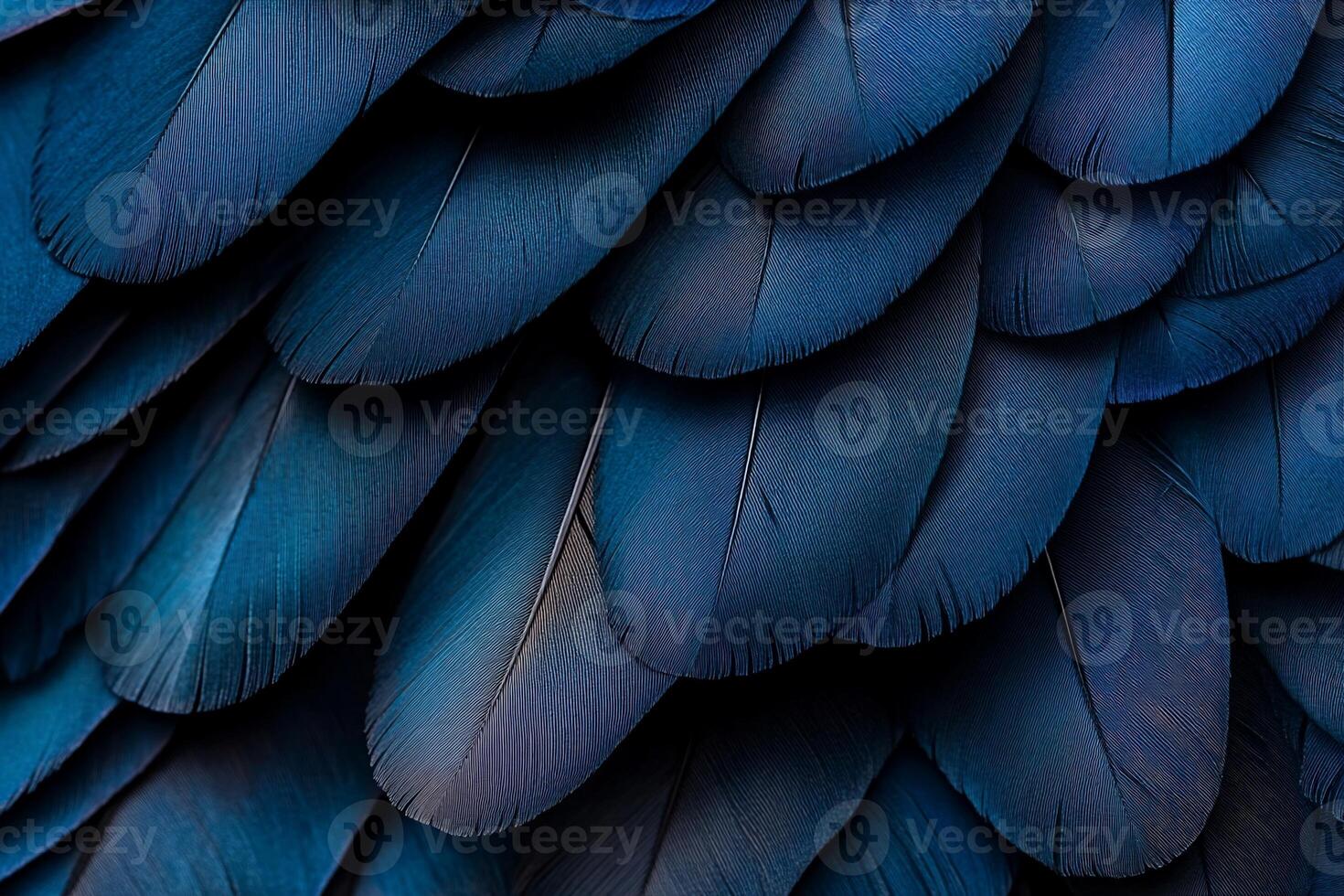 Close-up view of vibrant blue bird feathers. Detailed texture and patterns of feathers photo