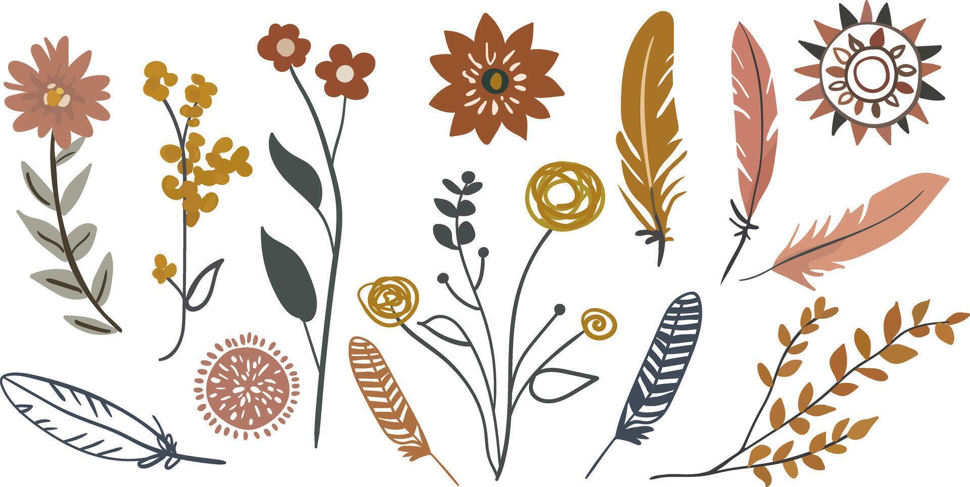 boho floral illustration with hand-drawn flowers, feathers, leaves, and botanical elements, minimalist nature clipart for design and decoration vector