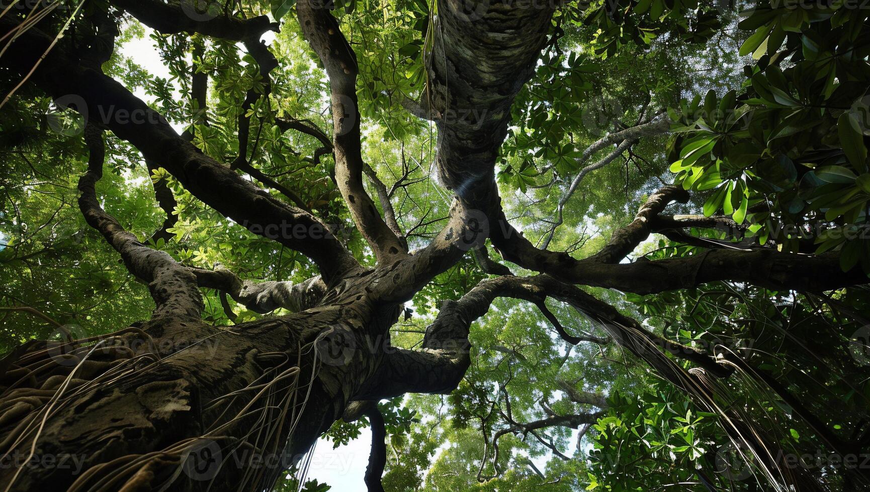 A large tree with many branches and leaves photo