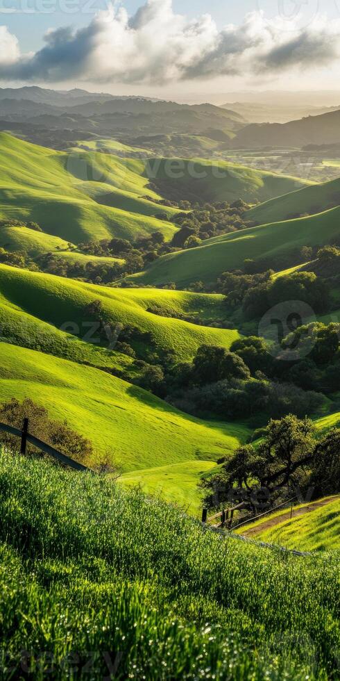 Lush green hills at sunset glow photo