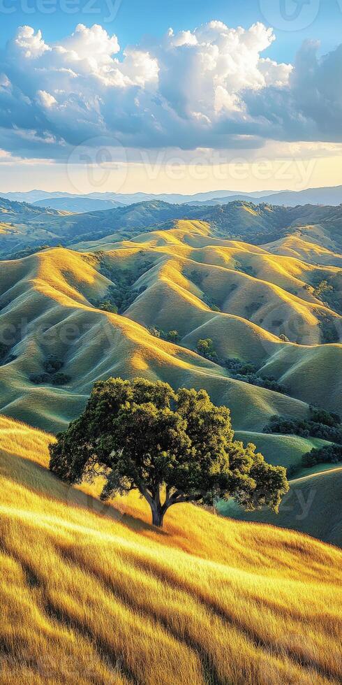 Sunset over hills and tree photo