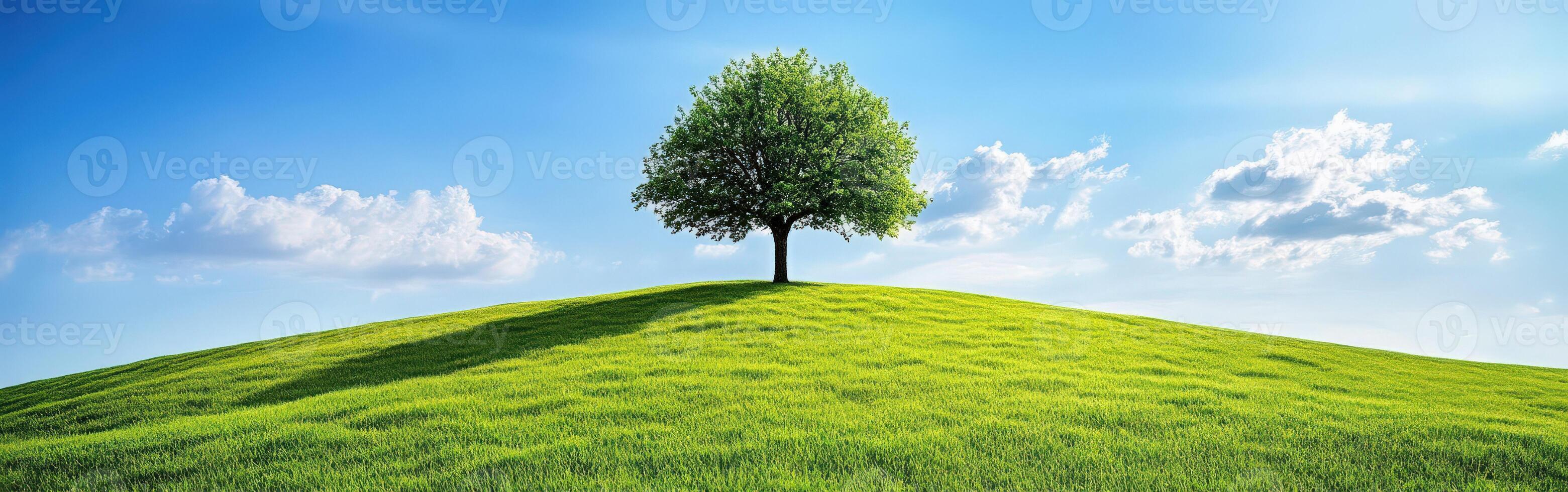 Serenity of a single tree on a hill photo