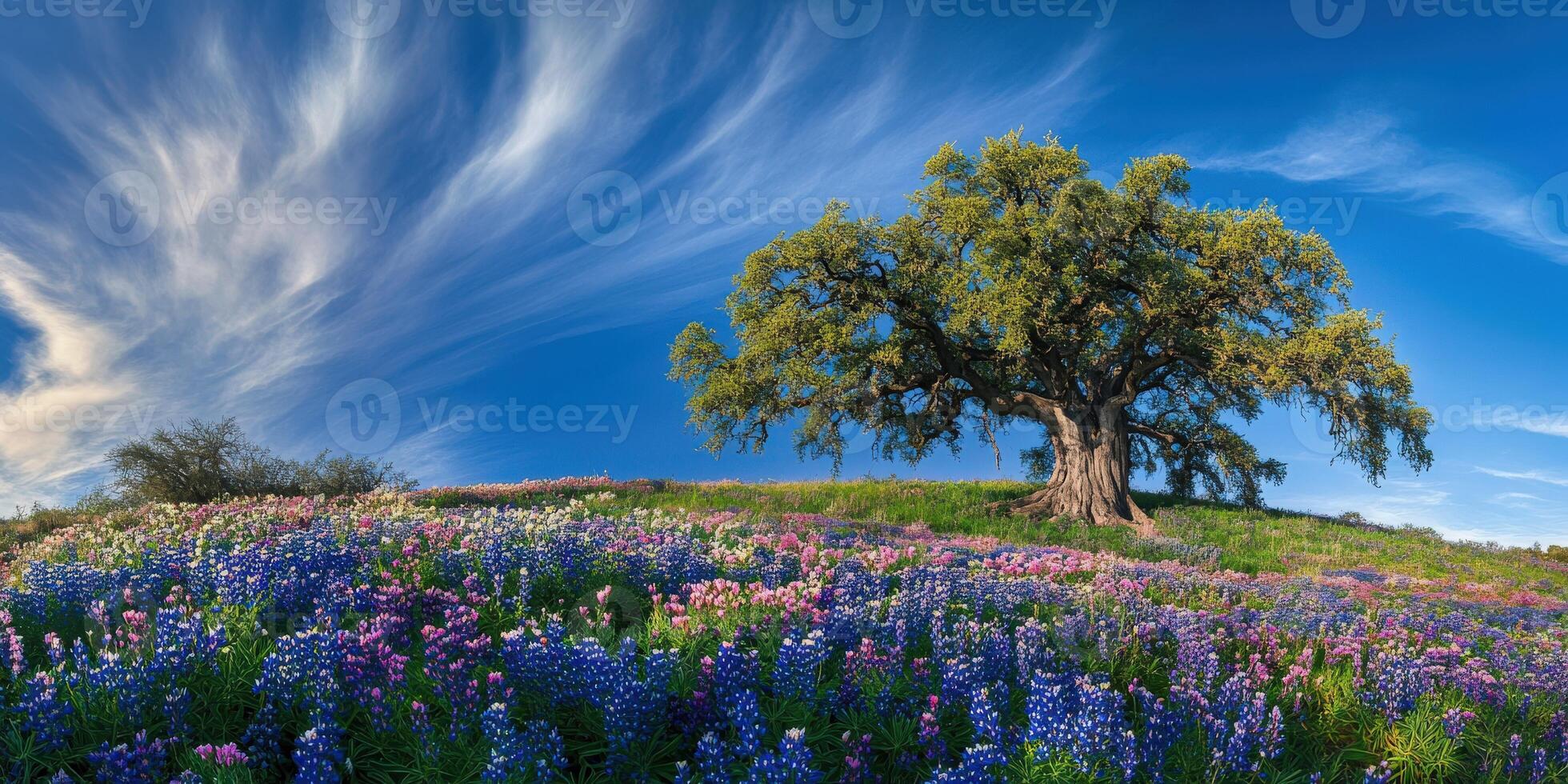 A tree stands in front of a field of wildflowers photo