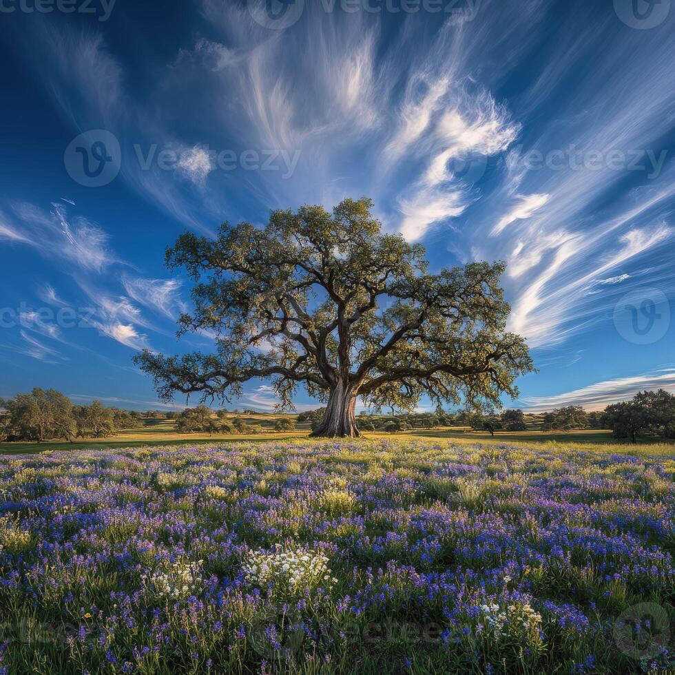 Beautiful tree in a blooming field photo