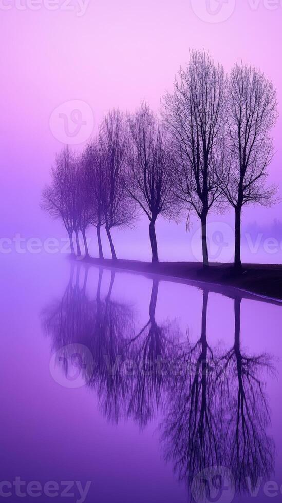 Misty evening by the calm lake photo