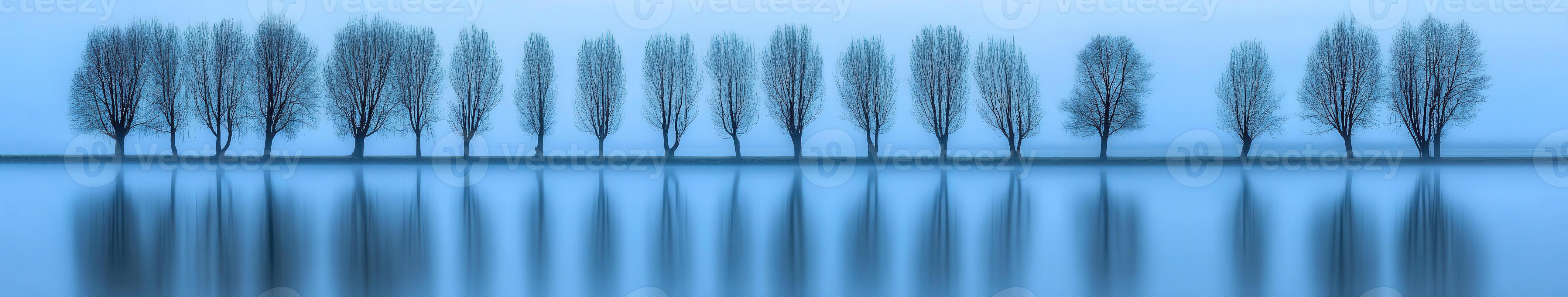 Serene trees by the calm lake photo