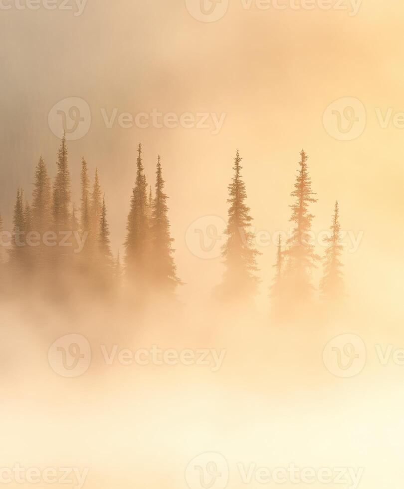 Misty forest at sunrise with trees photo