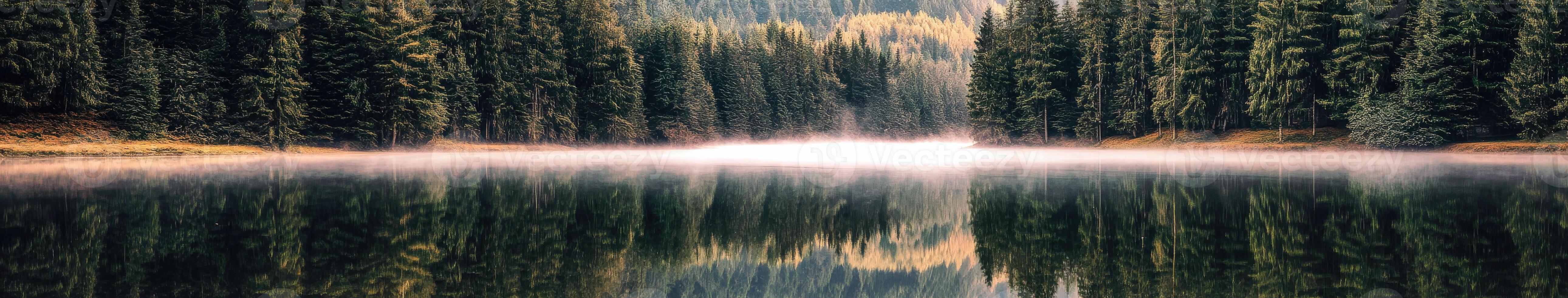 Foggy lake embraced by forest photo