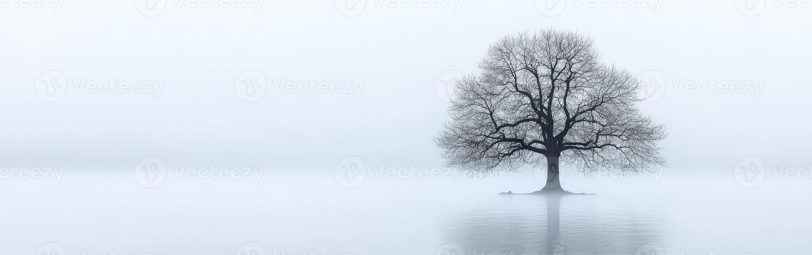 Lonely tree stands in fog over still water photo