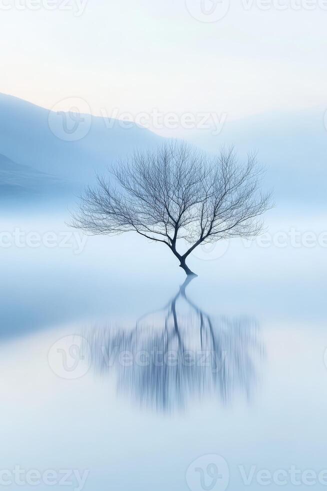 Stillness of a lone tree in tranquil water photo
