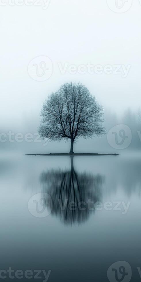 Lonely tree stands in foggy lake landscape photo
