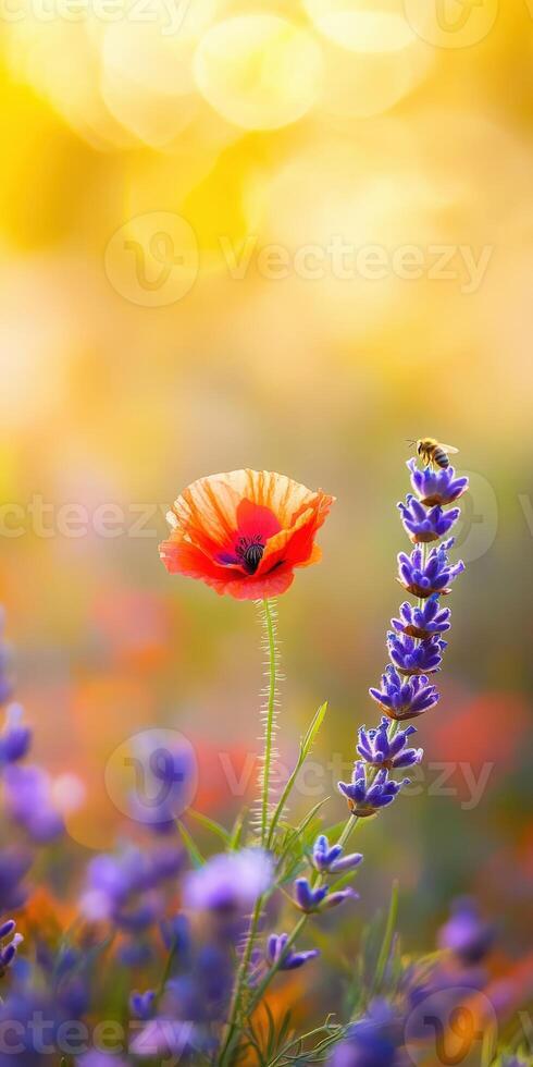 Vibrant wildflower with bee in blooming field photo
