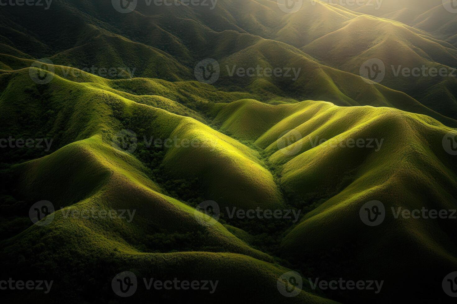 Rolling green hills under soft sunlight photo