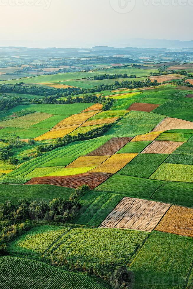 Vibrant patchwork fields in rural landscape photo