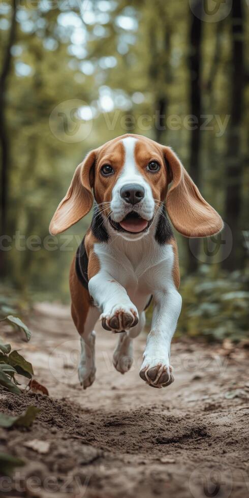 Beagle puppy joyfully running through forest photo