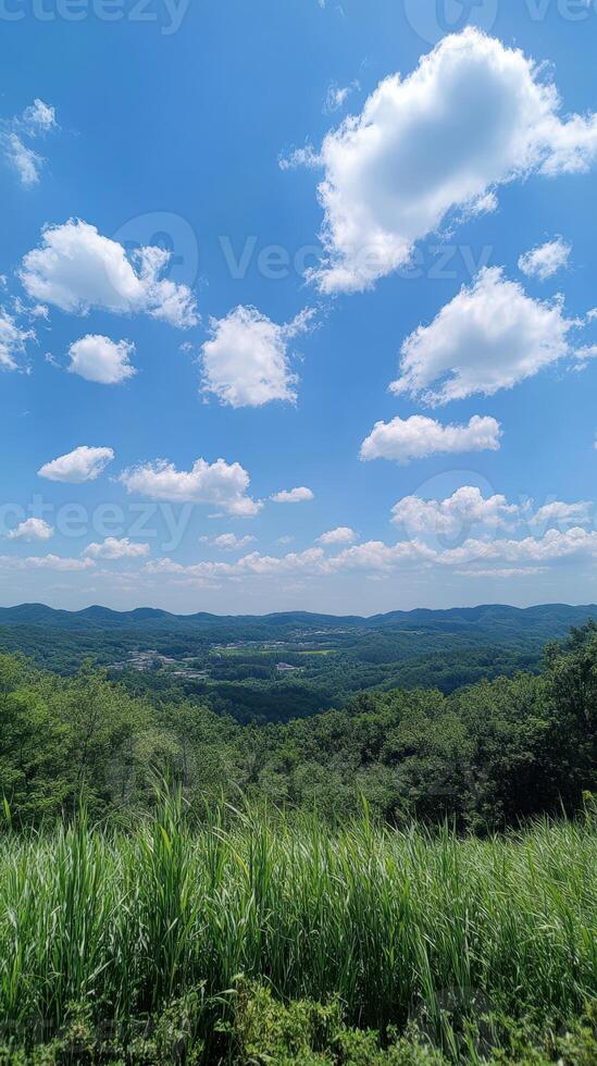A view of a green field with a blue sky photo
