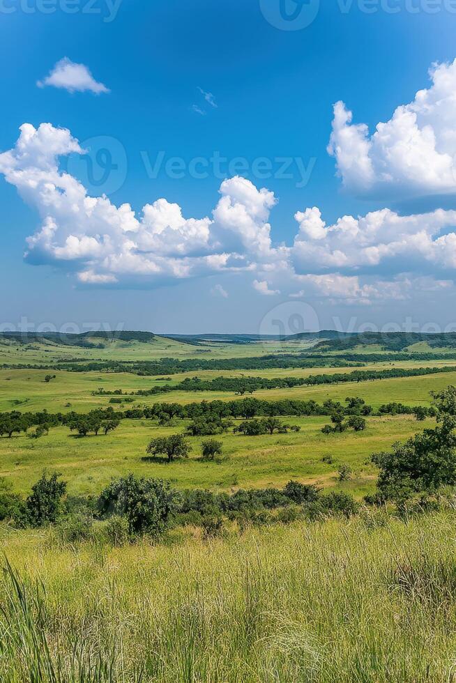 A large open field photo