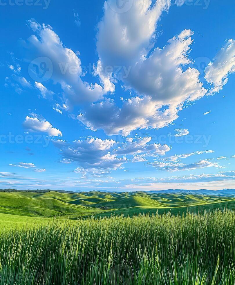 A beautiful view of a field with green grass photo