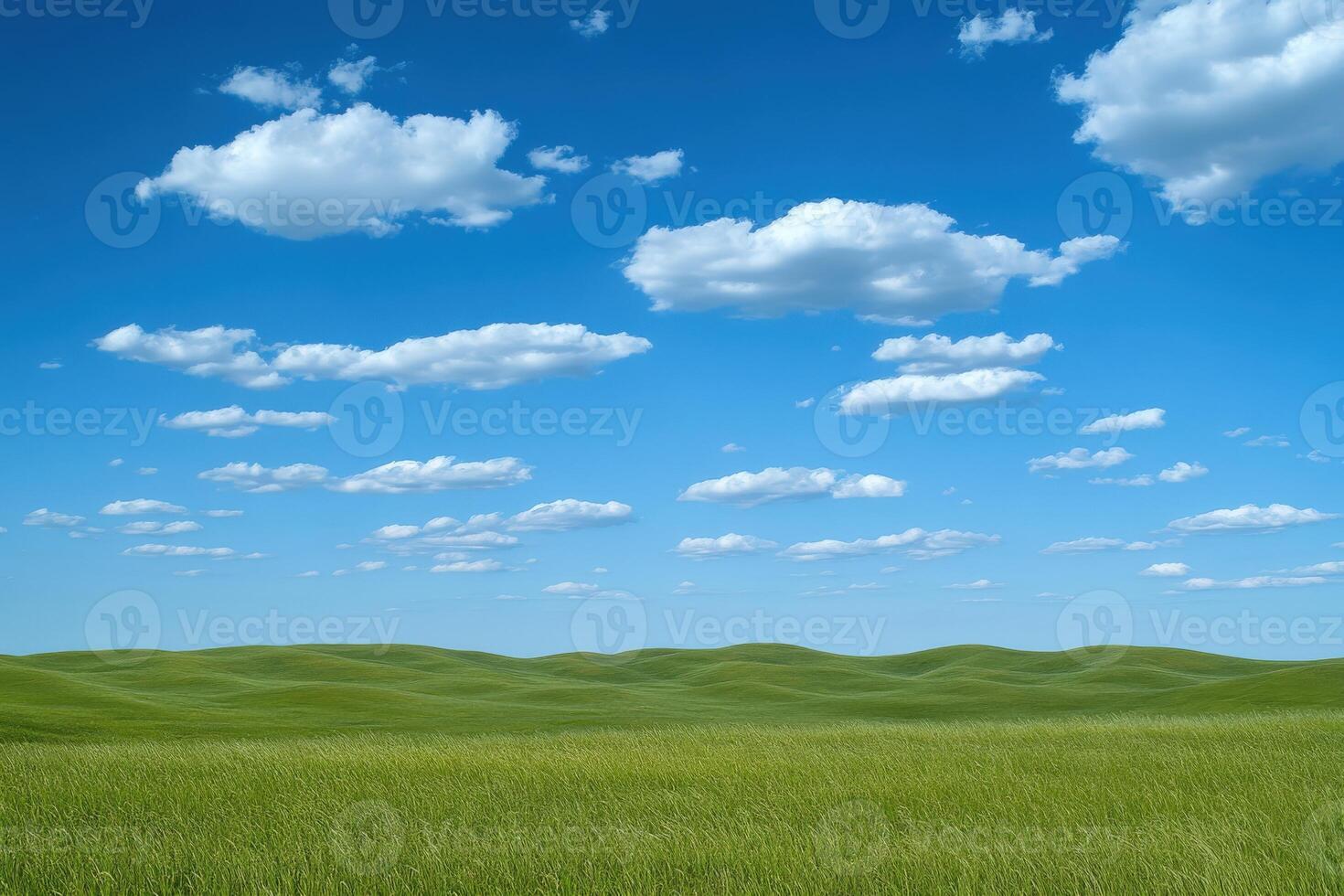 A field with grass and clouds under a blue sky photo