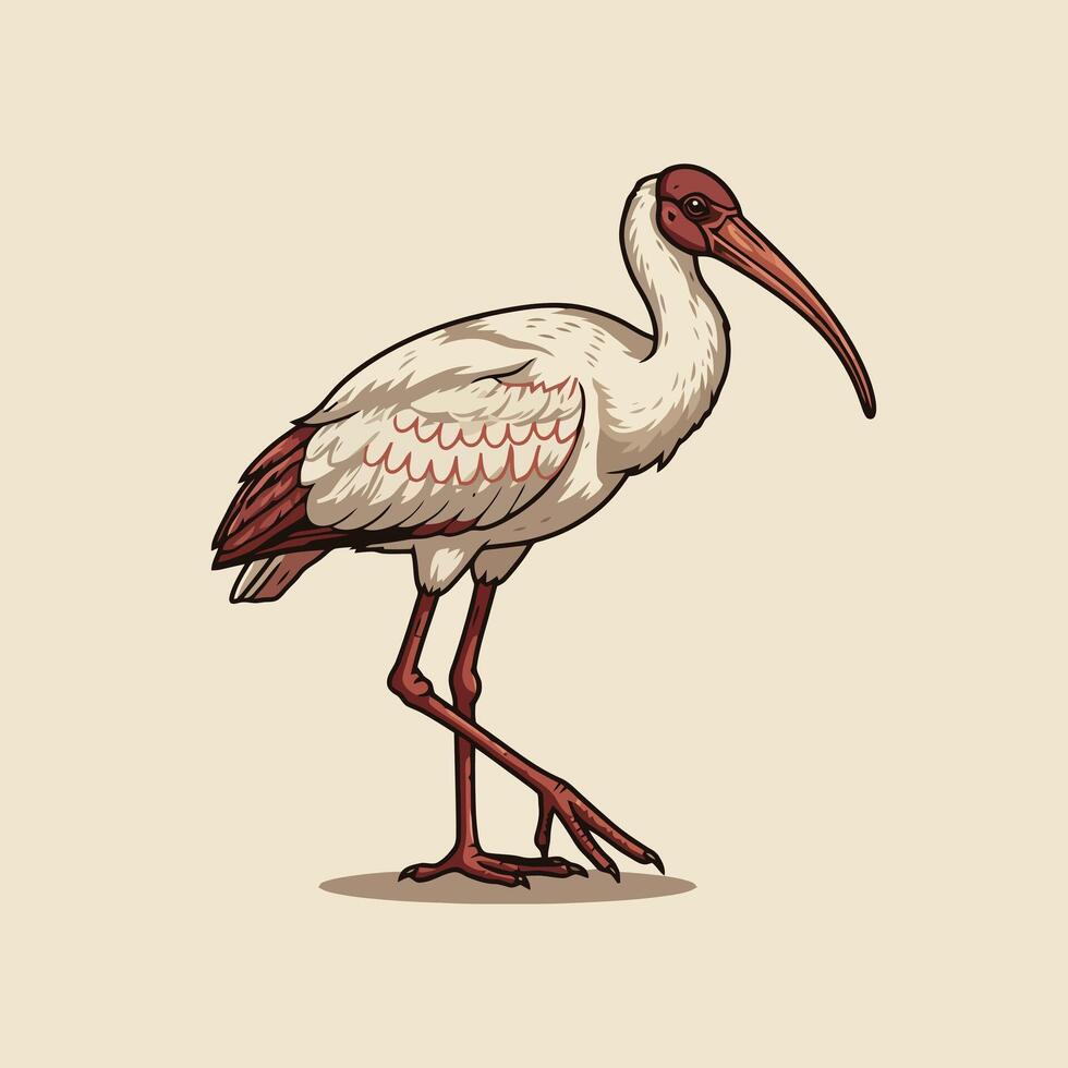 Ibis Bird Illustration Walking with Long Beak in Natural Setting vector