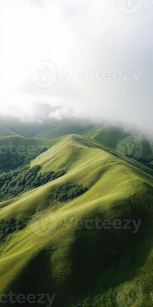 A green hillside with trees and grass photo