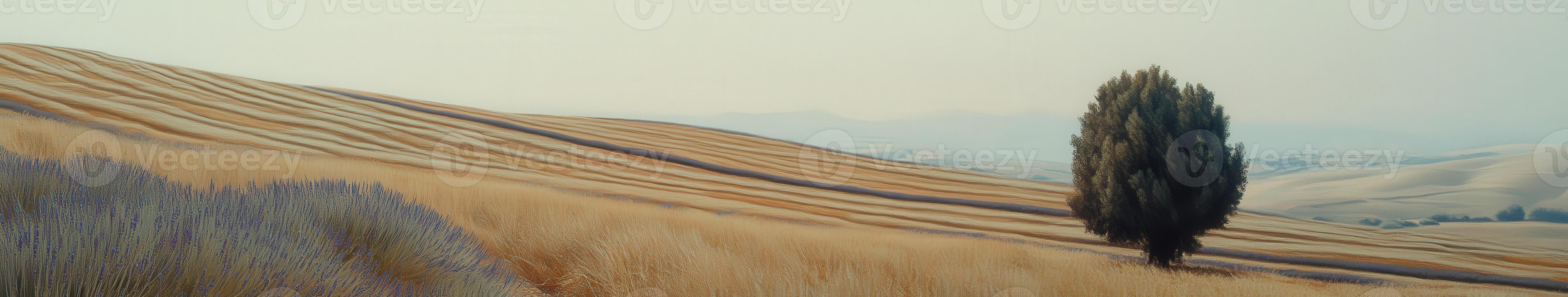 Golden fields stretch under a pastel sky at dusk photo