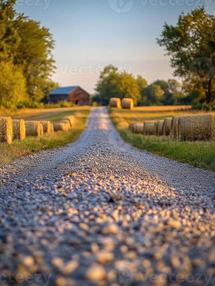 Countryside road lined with hay bales at sunset photo