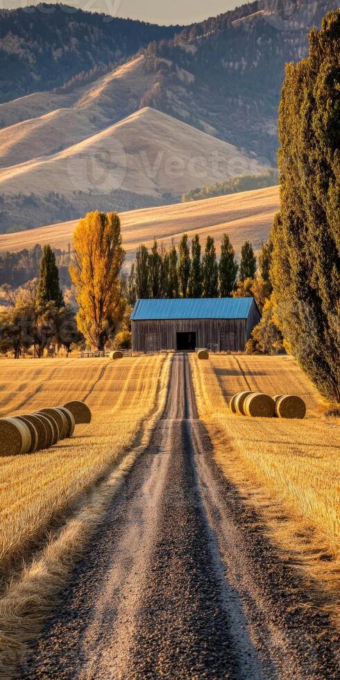 Rolling hills at sunset with a barn and hay bales photo