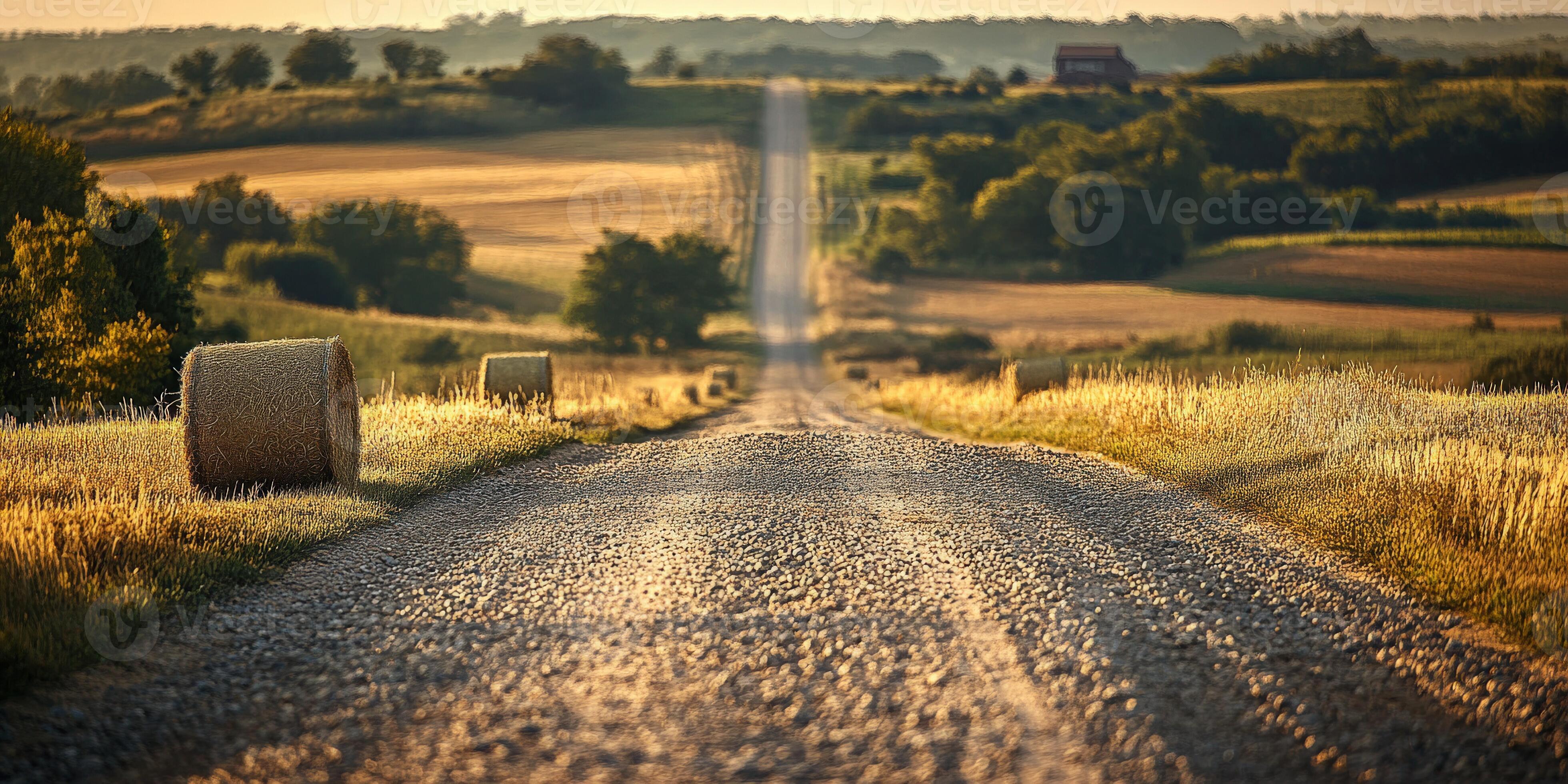 Gravel Roads and Trails