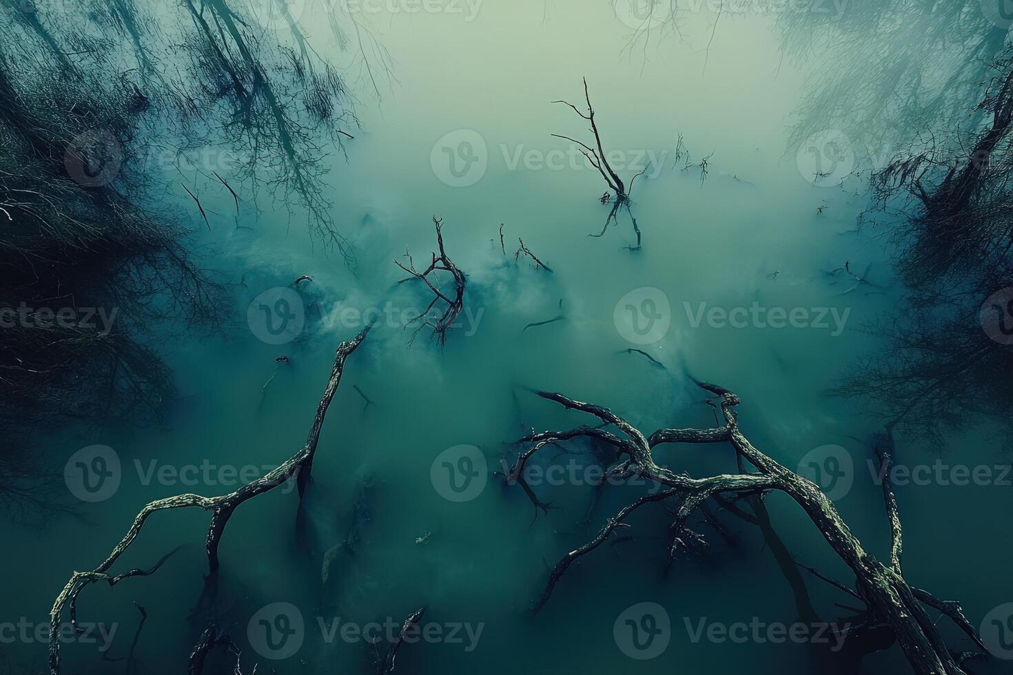 Dead trees in the water with fog and mist photo