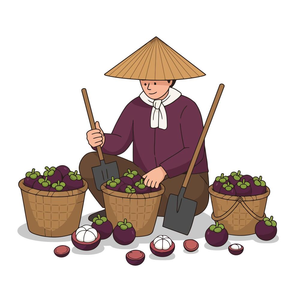 Person Harvesting Mangosteen Fruit with a Straw Hat and Shovels vector