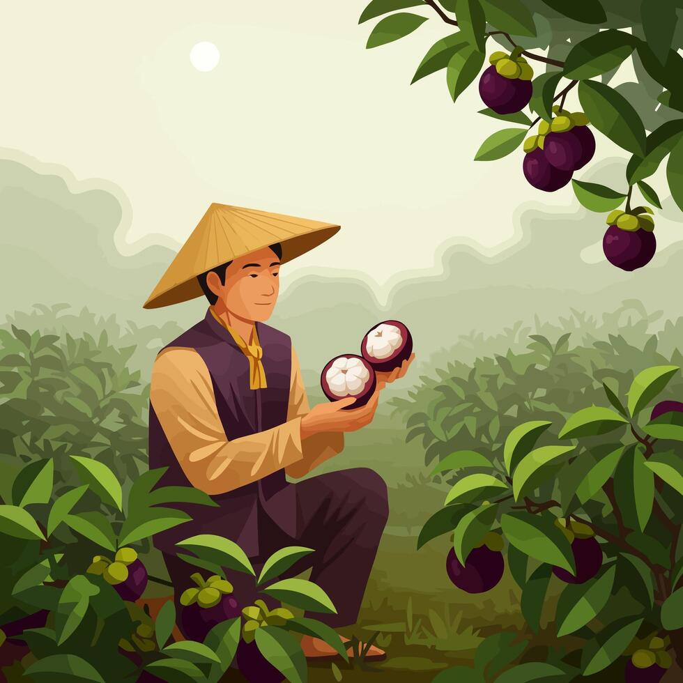 Farmer Holding Fruit in Orchard with Conical Hat Harvest Time vector