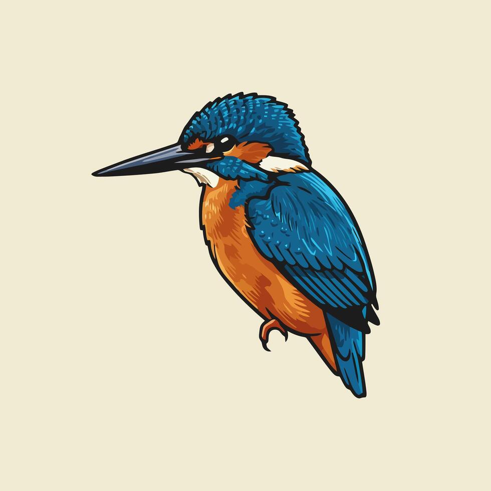 Vibrant Kingfisher Perching Calmly Detailed Illustration on Plain Background vector