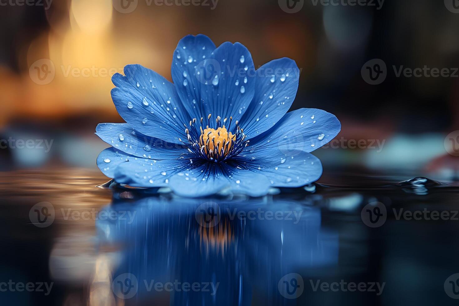 Serene Blue Lotus Flower with Dew Drops on Reflective Water Surface photo