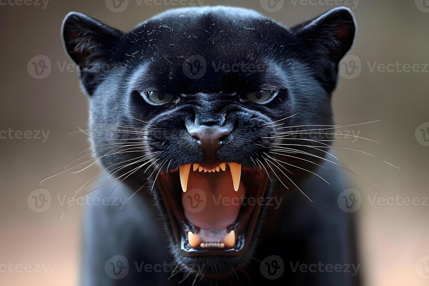 Close-Up of a Roaring Panther with Intense Expression for Wildlife Posters photo