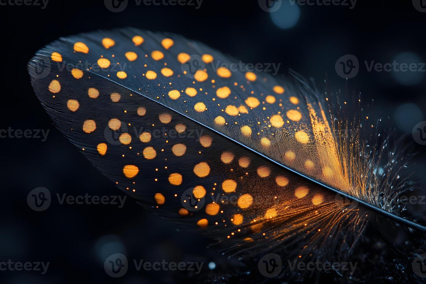 Elegant Orange Polka Dot Feather with Sparkling Bokeh - Nature Art for Decor photo