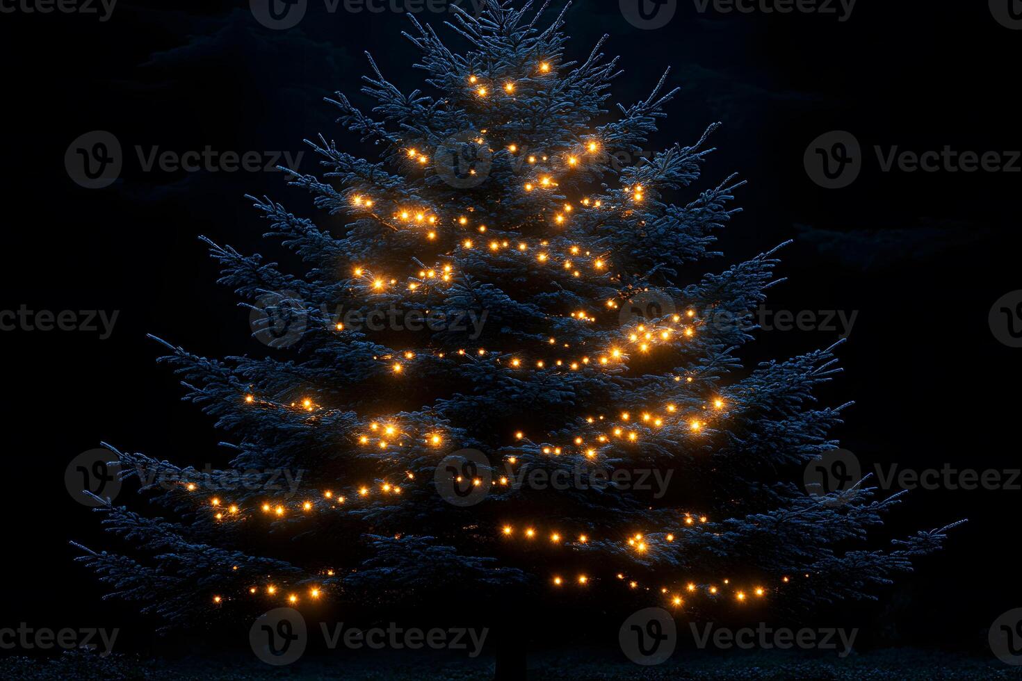 Illuminated Christmas Tree with Twinkling Lights for Festive Holiday Designs photo