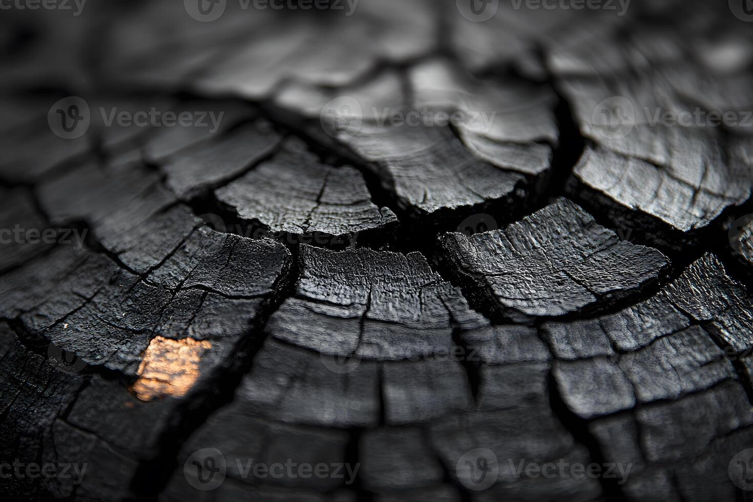 Close-Up of Charred Tree Trunk with Detailed Texture for Background Design photo