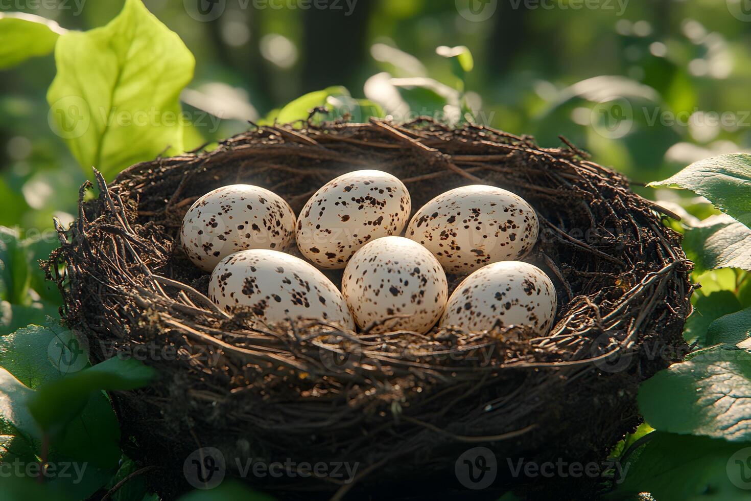 Nature's Nest Speckled Eggs in Sunlit Forest for Spring and Easter Themes photo