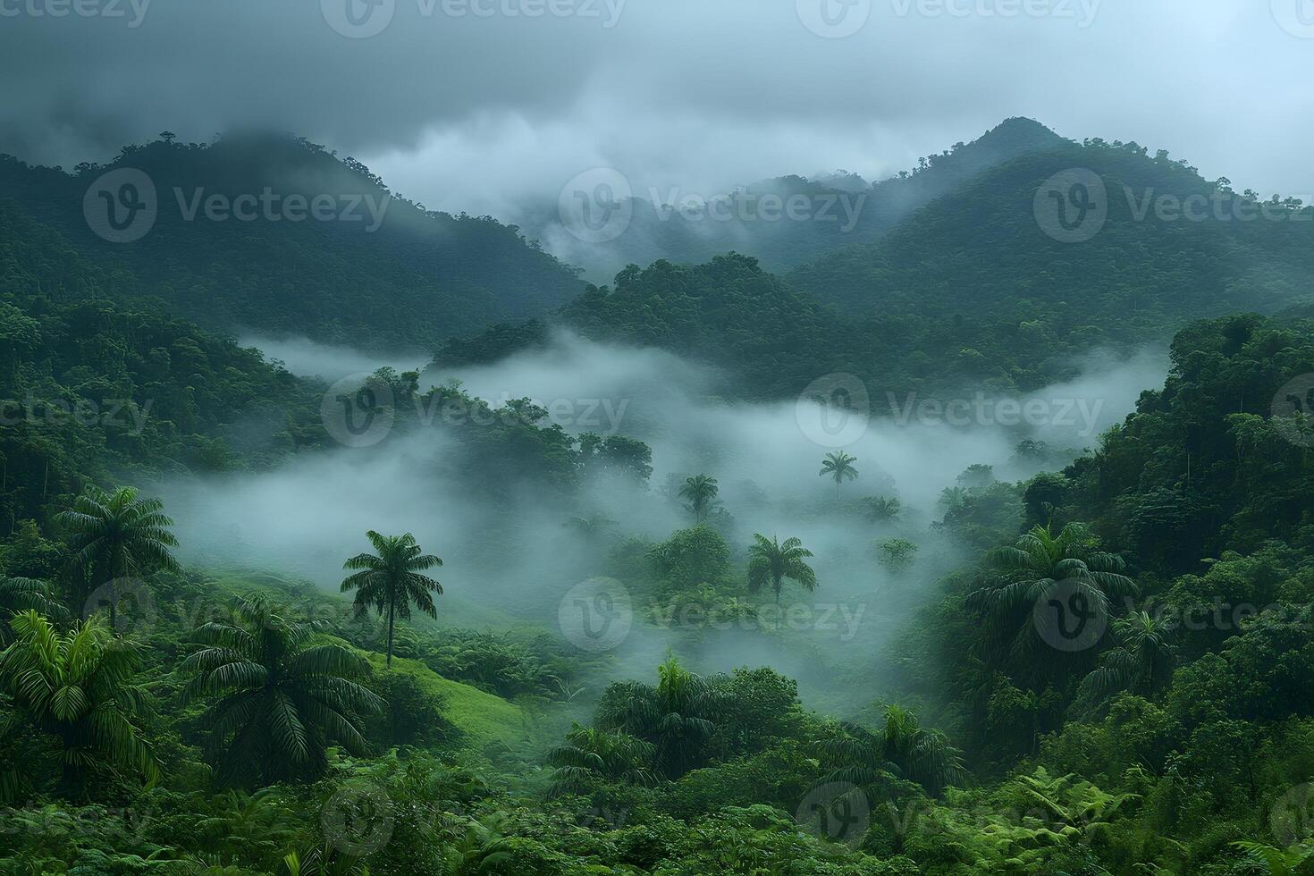 Misty Tropical Forest Landscape with Lush Greenery and Palm Trees photo