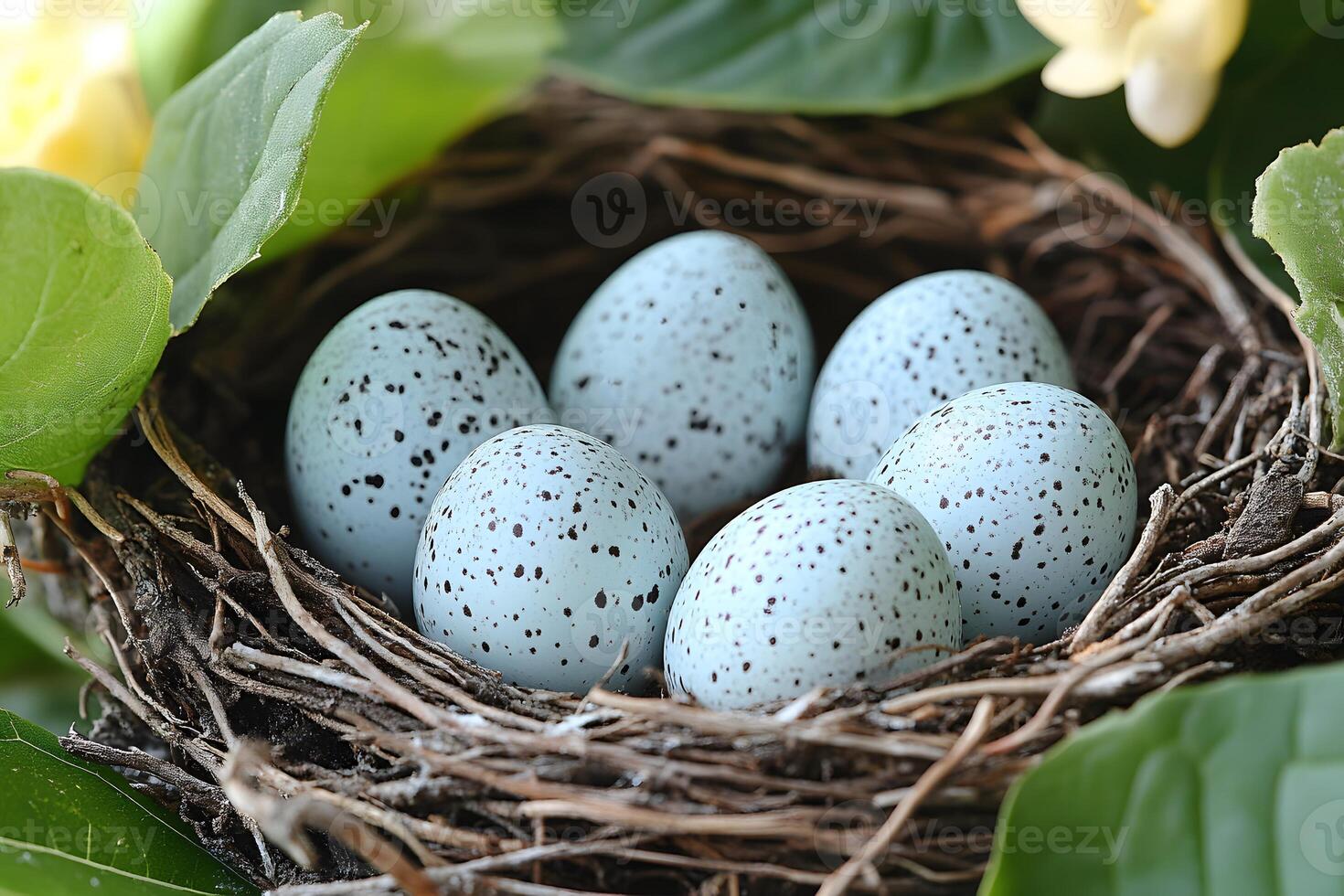 Spring Nest with Speckled Eggs Among Lush Greenery Perfect for Easter and Nature Themes photo